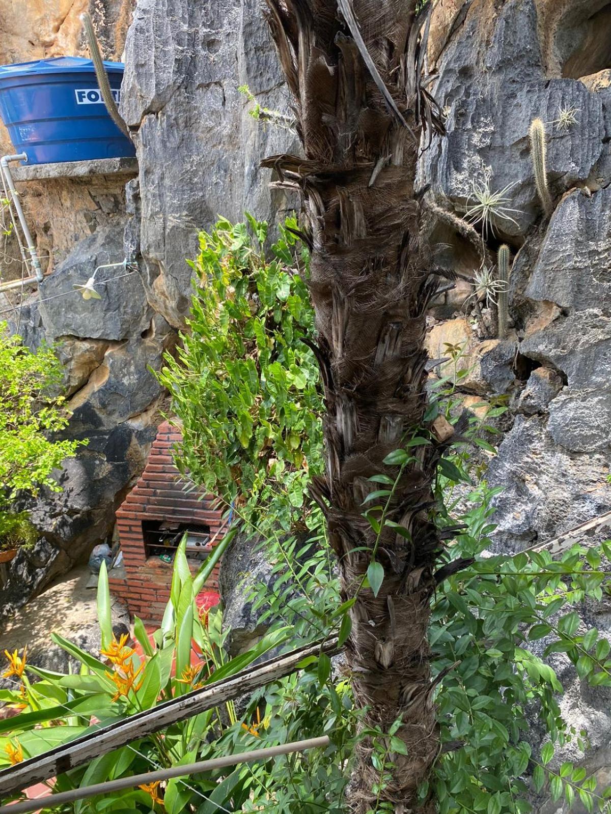 봉 제주스 다 라파 Casa Pedacinho Do Morro 아파트 외부 사진